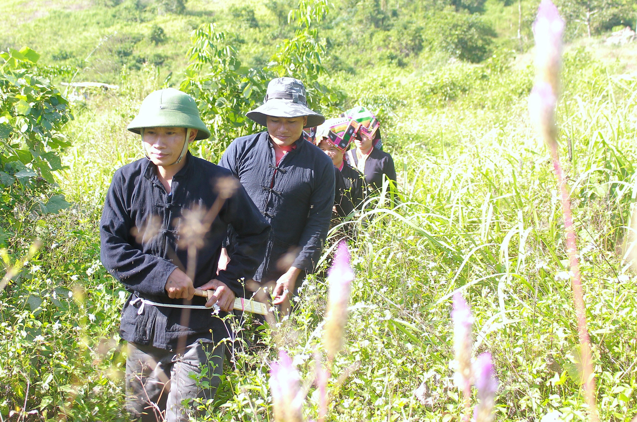 Diện mạo mới của bản Táng Ngá